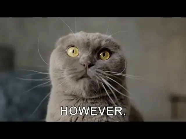 'Video thumbnail for What does catnip do to cats and is it safe?'