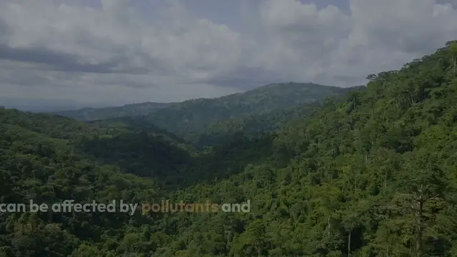 Video thumbnail for Foods for Lung Detoxification