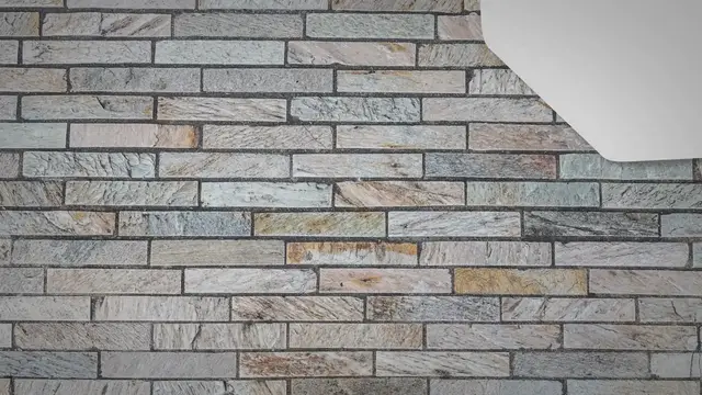 Video thumbnail for Can You Eat Lemon Peel? - Press To Cook