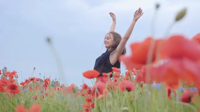 'Video thumbnail for Girl dancing happily in a field of flowers'