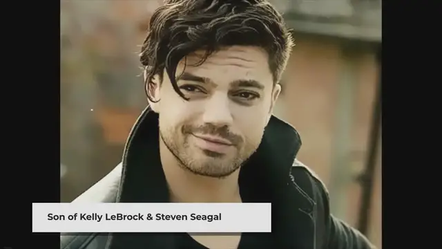 'Video thumbnail for Dominic Seagal Age, Biography, Height, Net Worth, Family & Facts -'