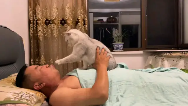 Video thumbnail for Caring Cat Gently Wakes Its Owner in a Sweet Morning Moment