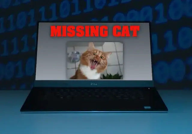 Video thumbnail for Scammers exploit missing pets with fake photos and demands for money, BBB says