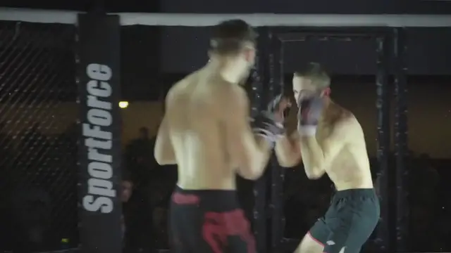 Video thumbnail for The Ultimate Guide: What Martial Arts are Used in MMA?