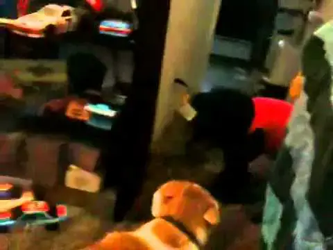 Video thumbnail for Pug & cat