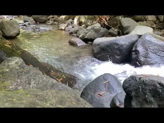 Video thumbnail for Escape to Serenity  Waterfall and Flowing