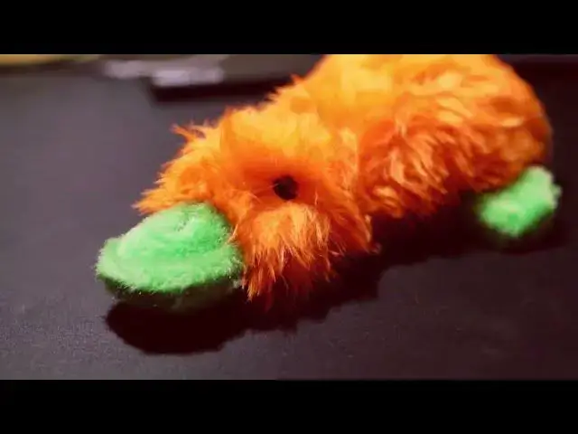 Video thumbnail for Multipet Duckworth Plush Dog Toy: Your Pup's New Best Friend