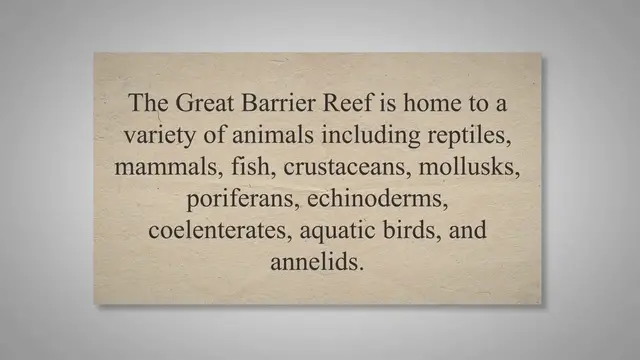 Video thumbnail for 35 Great Barrier Reef Animals and Their Ecological Roles, Attributes - Felsics.com