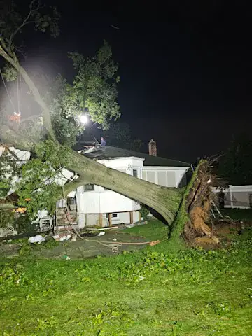 Video thumbnail for Westbury homeowner pleads for help after tree crashes through her home, trapping dozens of cats inside