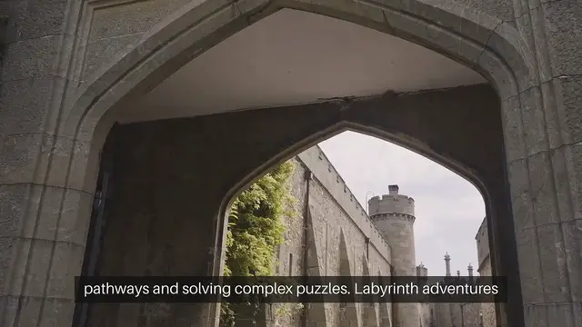 Video thumbnail for Maze Adventures in Labyrinth