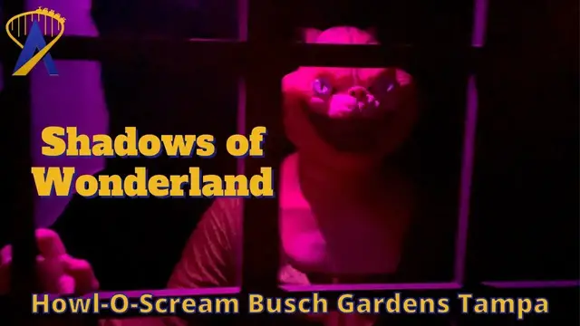 'Video thumbnail for Shadows of Wonderland Haunted House at Howl-O-Scream at Busch Gardens Tampa'