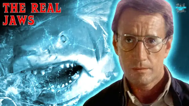 'Video thumbnail for 'Jaws' Was Inspired By The Matawan Man-Eater'