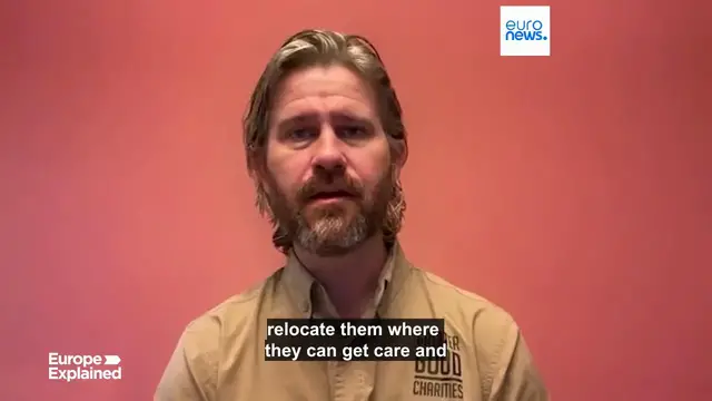 'Video thumbnail for Fires in Greece: helping the animals'