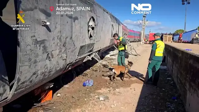 Video thumbnail for Spain train crash: Canine units deployed to gather evidence