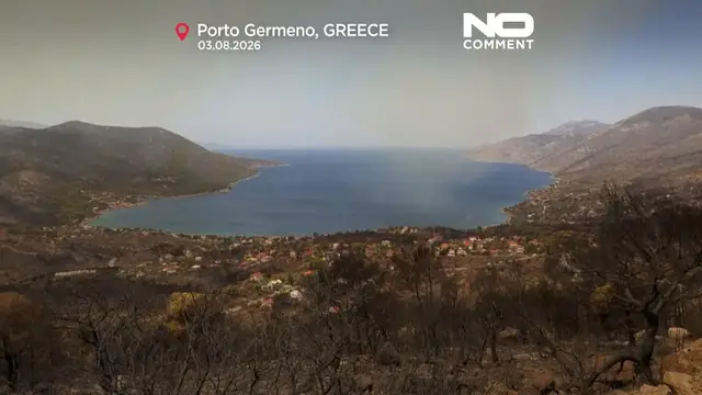 Video thumbnail for Burned homes, blackened cars: Greek wildfires leave trail of destruction in Porto Germeno
