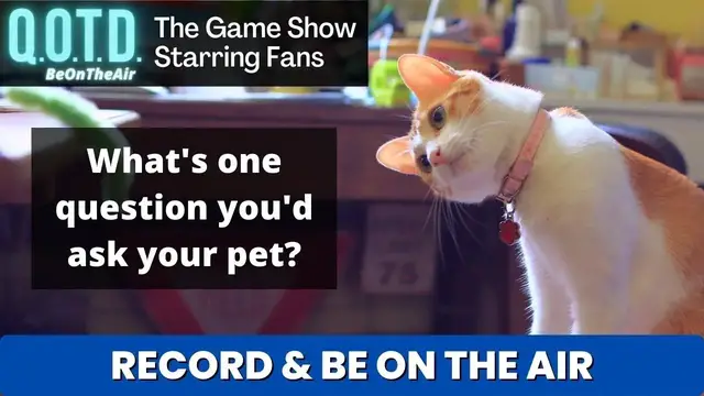 Video thumbnail for Interview your pet! | Today’s QOTD Question (Record now with the links below!)