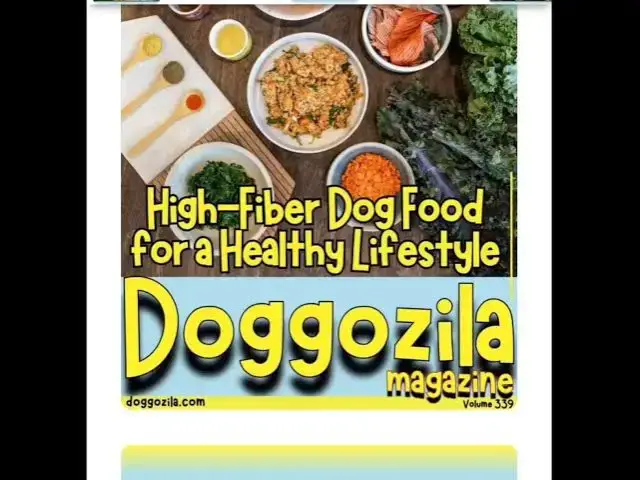 'Video thumbnail for High-Fiber Dog Food Recipes for a Healthy Lifestyle by Doggozila Magazine'