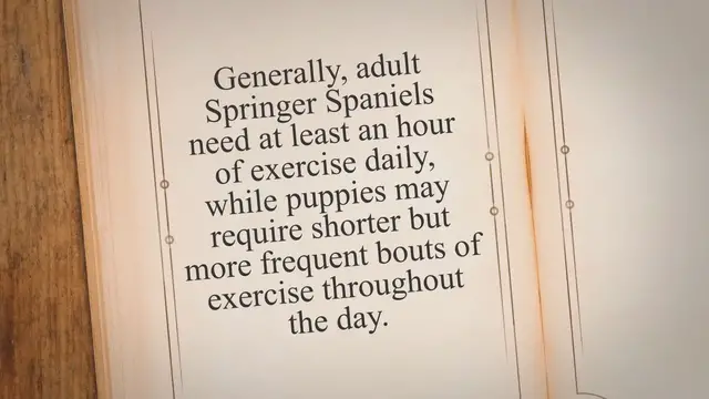 Video thumbnail for Springing into Action: The Importance of Proper Exercise for Springer Spaniels