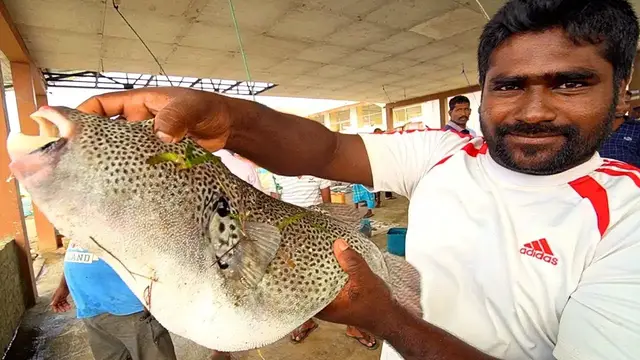 'Video thumbnail for SRI LANKA Seafood Heaven in Jaffna!! SPICY Prawn CURRY + “Khool” Soup - Tamil Food in Sri Lanka!'