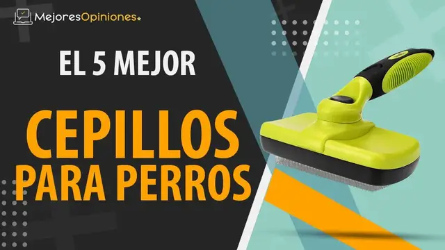 Video thumbnail for ⭐️ MEJOR CEPILLO PARA PERROS - Reseñas y Guía de compra (Comparativa 2021)