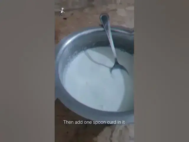 Video thumbnail for “Secret to Silky-Smooth Curd: Unveiling My Family’s Treasured Recipe”