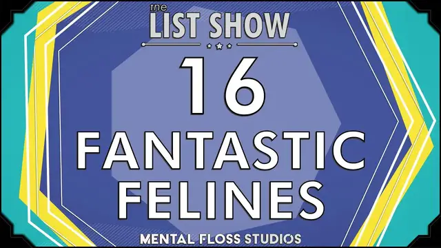 Video thumbnail for 16 of History's Coolest Cats | Mental Floss