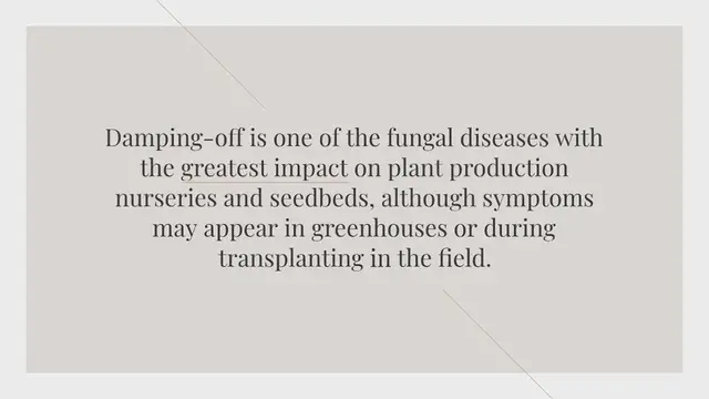 Video thumbnail for Bioprotection against Damping-off