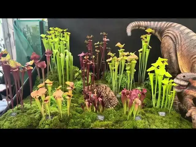 Video thumbnail for BBC Gardeners world 2024 #bbcgardenersworld #gardening #flowers