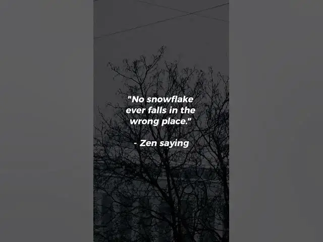 Video thumbnail for No snowflake ever falls in the wrong place...#zenquotes #shorts