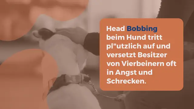 Video thumbnail for Head Bobbing-Syndrom: Symptome und Behandlung (Ratgeber)