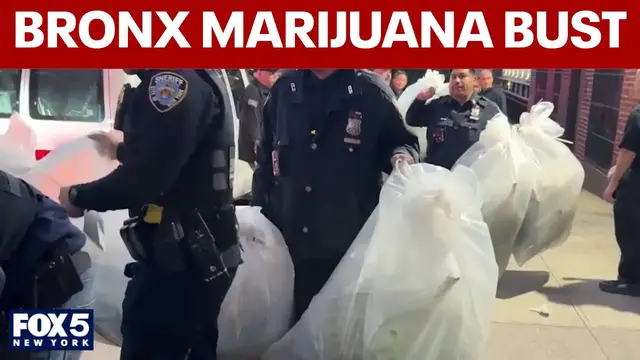 Video thumbnail for Authorities find illegal marijuana grow house in Bronx apartment during eviction