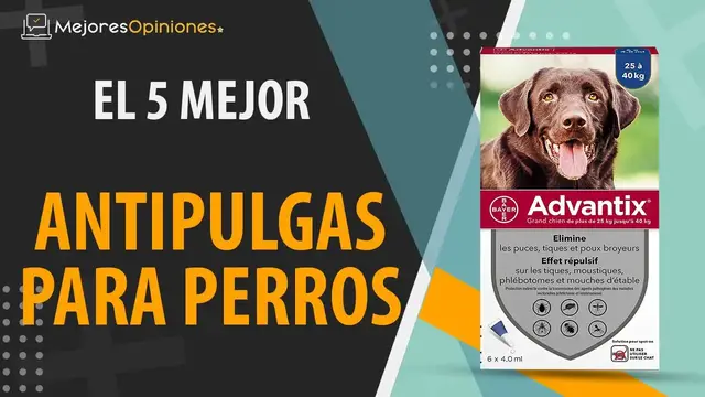 Video thumbnail for ⭐️ MEJOR PROTECTOR ANTIPULGAS PARA PERROS - Reseñas y Guía de compra (Comparativa 2021)