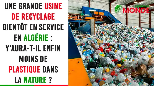 Video thumbnail for Une grande usine de recyclage bientôt en service en Algérie -  Y'aura-t-il enfin moins de plastique?