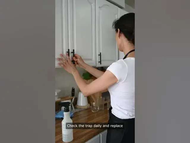 'Video thumbnail for Easy DIY Fruit Fly Trap – Get Rid of Pesky Gnats for Good'