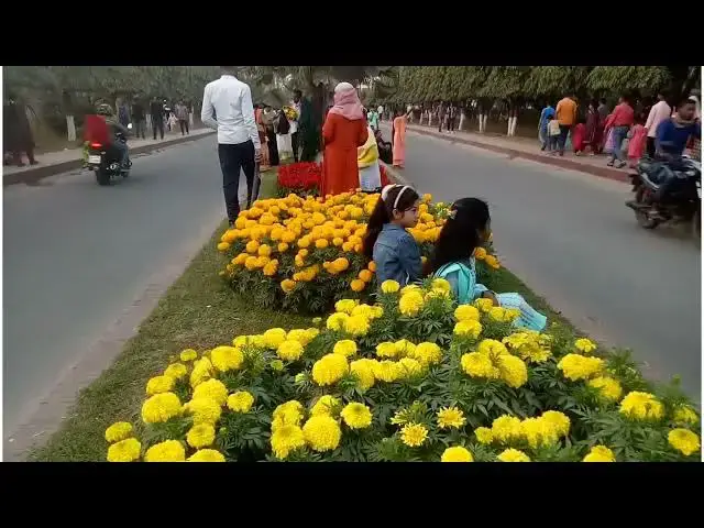 'Video thumbnail for গাঁদার রাজ্যে একদিন- কৃষি গবেষণা ইনস্টিটিউট, গাজীপুর। Marrygold Garden। রায়ান ও রিয়ন। Rayan & Riyon'