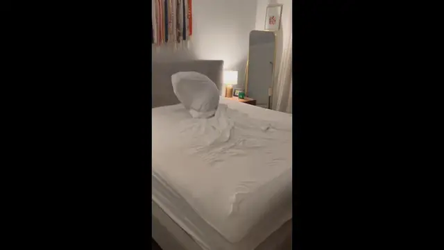 Video thumbnail for Dog’s Attempt to Escape Wrapped in Bed Sheets Ends in Hilarious Fail
