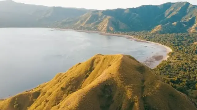 'Video thumbnail for EXPLORING THE LAND OF THE DRAGONS (Komodo Part 1)'
