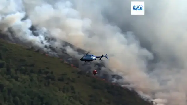 'Video thumbnail for Spain reports nearly 400,000 hectares burned and 37 arrests due to fires'
