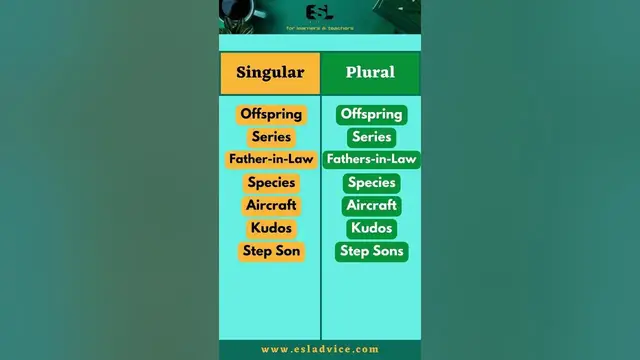 Video thumbnail for Singular VS Plural Nouns || Part 5 || ESL Advice