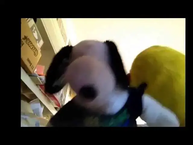 Video thumbnail for Sep 22, 2013