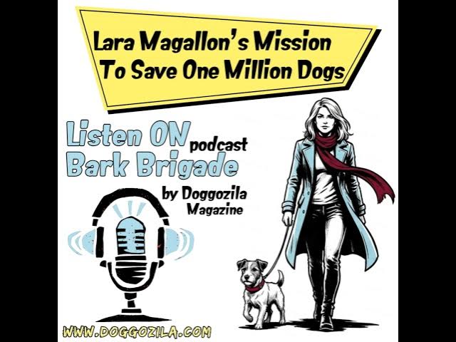Video thumbnail for Lara Magallon's Mission to Save a Million Dogs