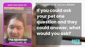 Video thumbnail for The Madman wants to know: what does his cat think of memes?