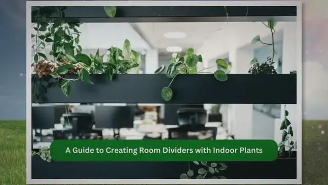 Video thumbnail for A Guide to Creating Room Dividers with Indoor Plants
