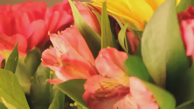 'Video thumbnail for Fragrant Shrubs'