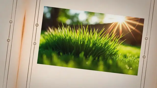 Video thumbnail for New Grass, New Life: Unlocking the Best Time to Apply Fertilizer