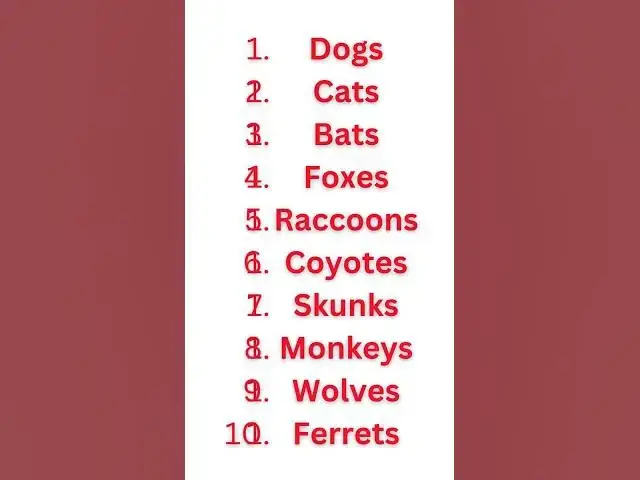 Video thumbnail for Beware of Rabies: Animals That Can Spread the Virus