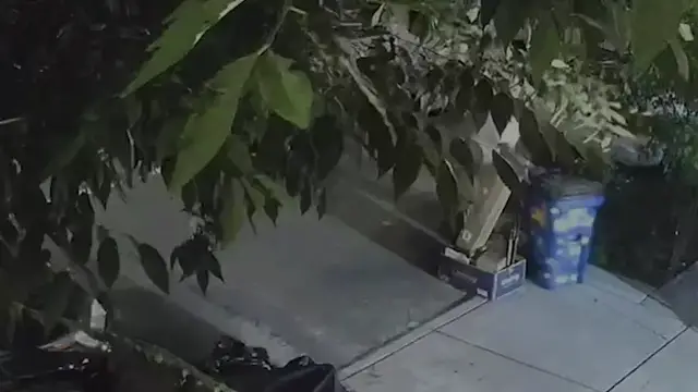 Video thumbnail for 'It appears that we have a black market.' Official NYC trash and recycling bins stolen from Crotona Park home