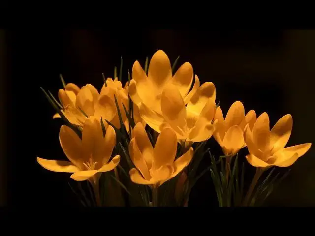 Video thumbnail for 4K Nature & Landscapes   Drone Aerial View