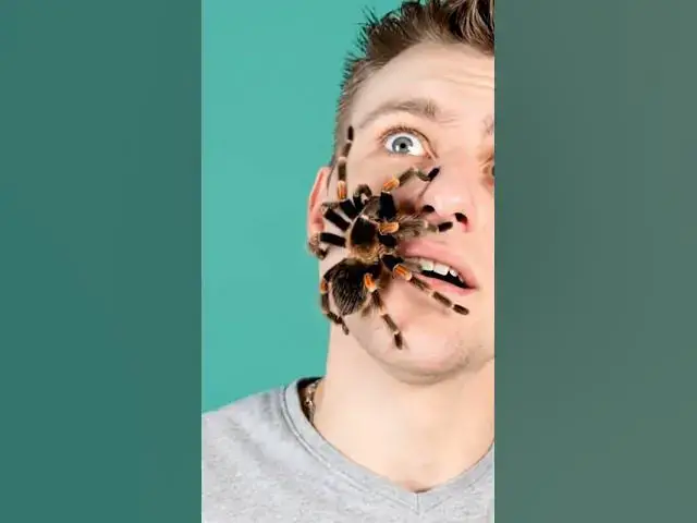 Video thumbnail for #Spider