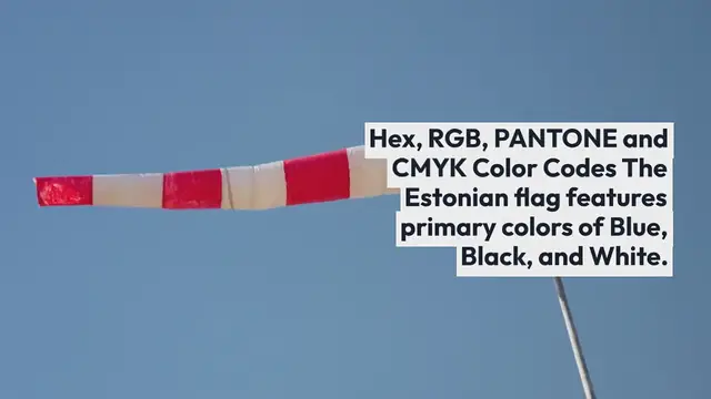 Video thumbnail for Estonia Flag Colors